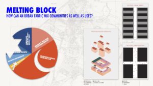 HQ Architects Leah Goldberg masterplan demographic and building blocks 4
